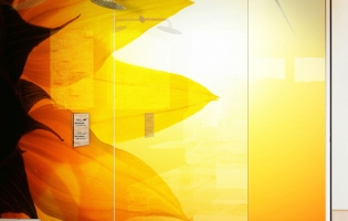 Sunflower-Shower-Panels-1600-U-web